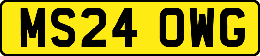 MS24OWG
