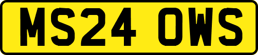 MS24OWS