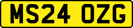 MS24OZG