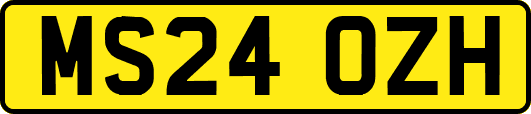 MS24OZH