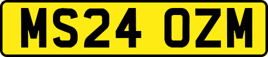 MS24OZM