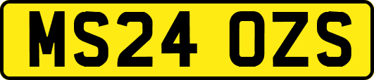MS24OZS