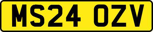 MS24OZV