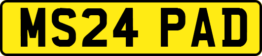 MS24PAD