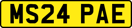 MS24PAE