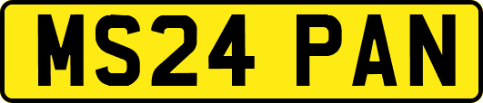 MS24PAN