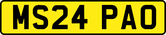 MS24PAO