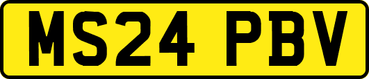 MS24PBV