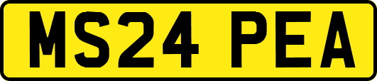 MS24PEA