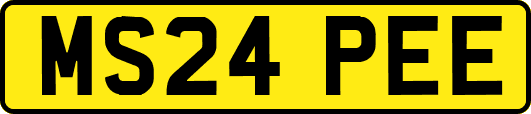 MS24PEE