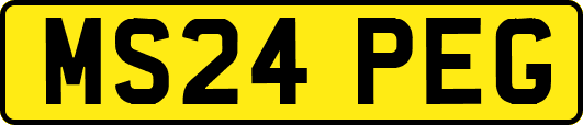 MS24PEG