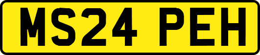 MS24PEH