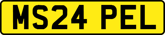 MS24PEL