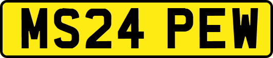 MS24PEW
