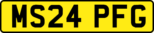 MS24PFG