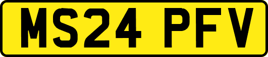 MS24PFV