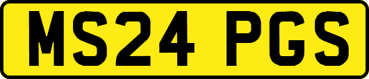 MS24PGS