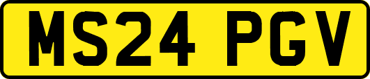 MS24PGV