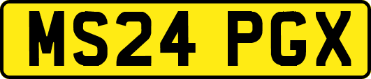 MS24PGX
