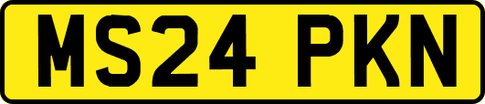 MS24PKN