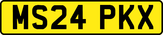 MS24PKX