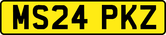 MS24PKZ