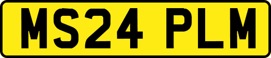 MS24PLM