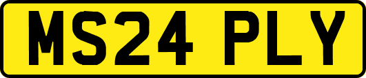 MS24PLY