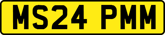 MS24PMM