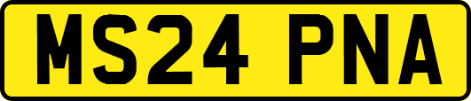 MS24PNA