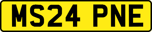 MS24PNE