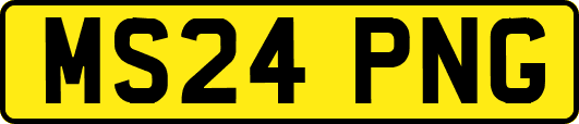 MS24PNG