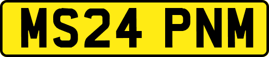 MS24PNM