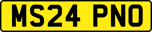 MS24PNO