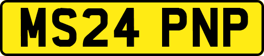 MS24PNP