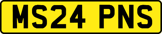 MS24PNS