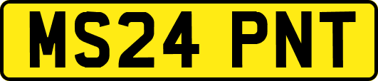 MS24PNT