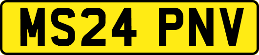 MS24PNV
