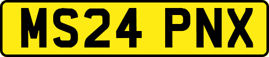 MS24PNX