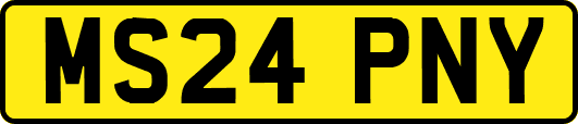 MS24PNY