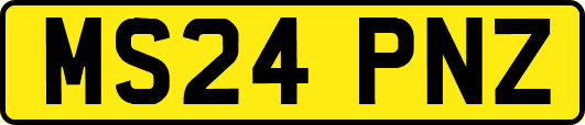 MS24PNZ