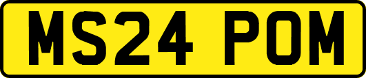 MS24POM