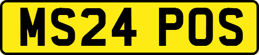 MS24POS