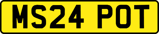 MS24POT