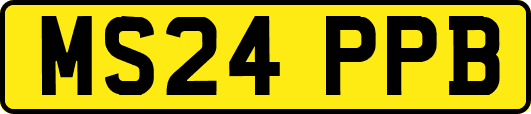 MS24PPB