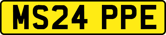MS24PPE