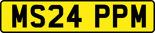 MS24PPM