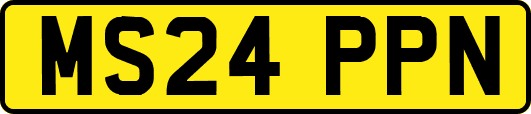 MS24PPN