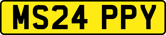 MS24PPY