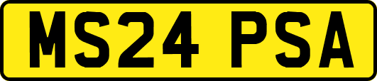MS24PSA